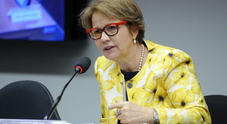 Tereza Cristina, do PSB, foi afastada (Foto: Lucio Bernardo Junior/Câmara dos Deputados)