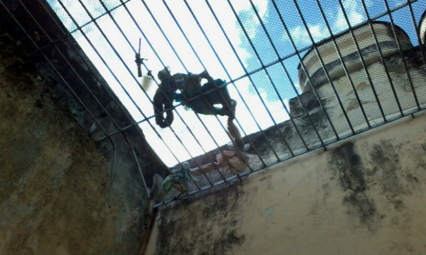 Detentos seriam ouvidos no fórum de Timbaúba no dia da fuga da cadeia / Foto: Manoel Augusto/Acervo Pessoal.