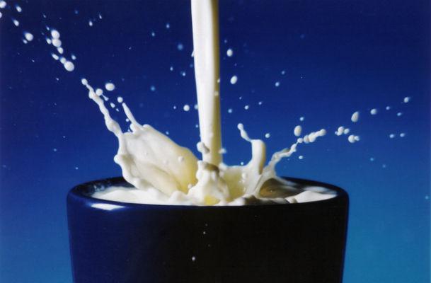 É importante consumir alimentos ricos em cálcio, como leite e derivados (Foto: Free Images) 