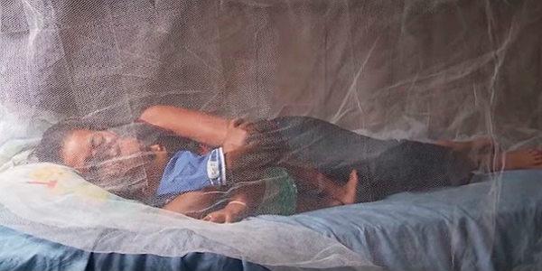 Imagem de mulher e criança deitados em cama (Foto: WHO Key facts about Malaria)