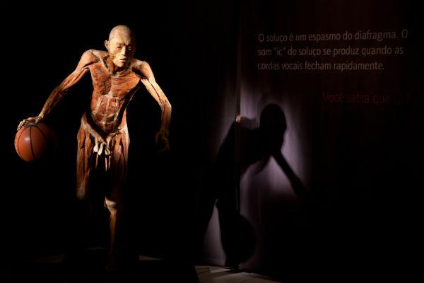 Imagem da exposição O Fantástico Corpo Humano (Foto: Mário Águas / Divulgação)