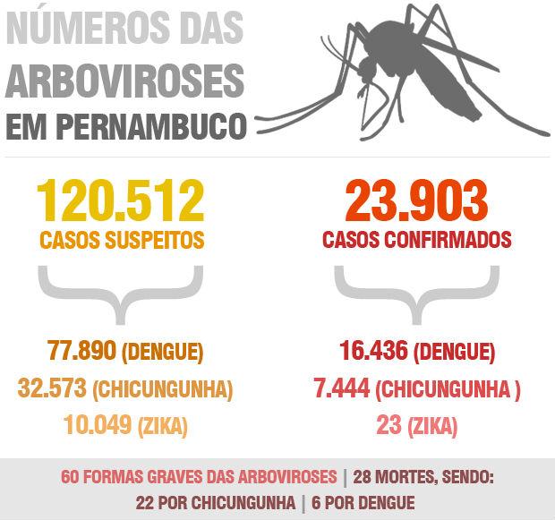 Infográfico sobre as arboviroses em Pernambuco (Ilustração: Guilherme Castro / NE10)