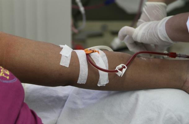 Recursos para a nefrologia são destinados para o custeio de procedimentos como hemodiálise, diálise e transplantes renais (Foto: Guga Matos/JC Imagem)