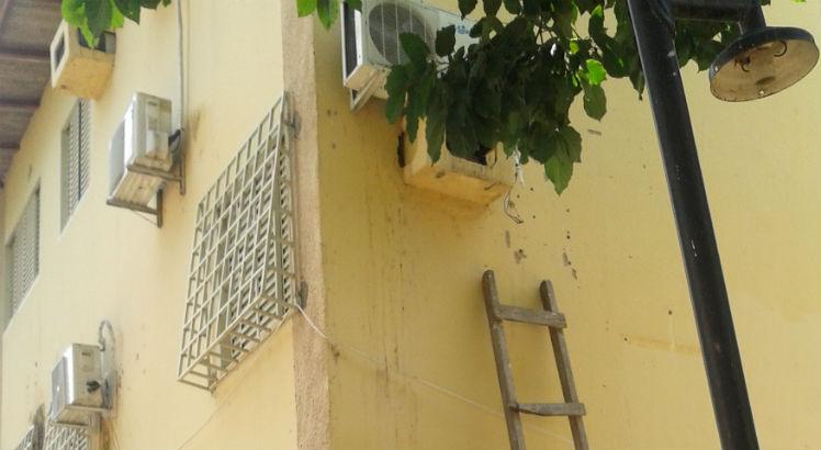 Insetos triatomíneos, popularmente conhecidos como barbeiros, foram encontrados no interior de um tijolo em um nicho de ar condicionado em um condomínio residencial em Boa Vista, Roraima (Foto: Divulgação)