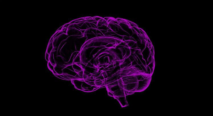 Objetivo principal de especialização em neuroeducação será abordar as mais recentes evidências neurocientíficas sobre o processo de desenvolvimento cerebral infantil (Foto ilustrativa: Pixabay)