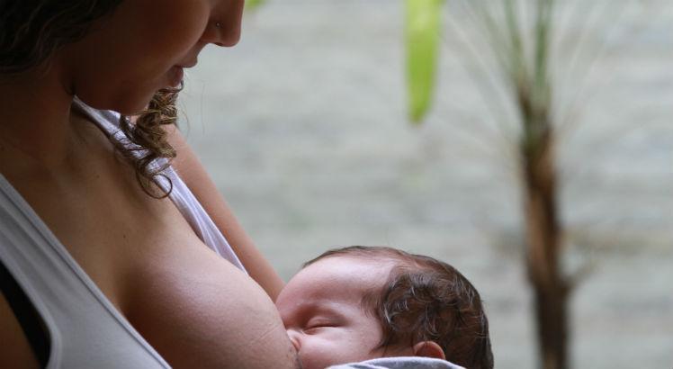Cisam/UPE conta com a doação voluntária de mulheres, que amamentam seus filhos e têm produção excedente de leite materno (Foto: Michele Souza/Acervo JC Imagem)