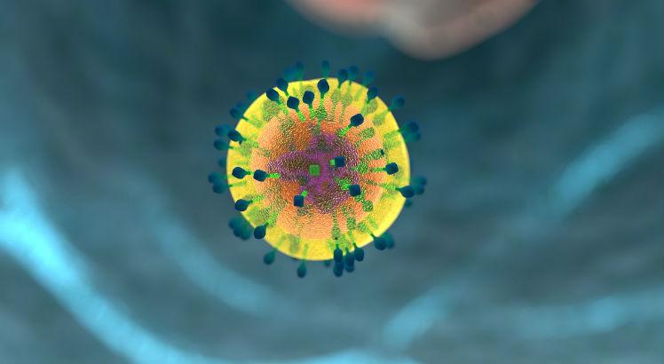 Estudo brasileiro investigou como o transplante é capaz de produzir um novo sistema imunológico em pacientes com esclerose múltipla (Foto ilustrativa: Pixabay) 