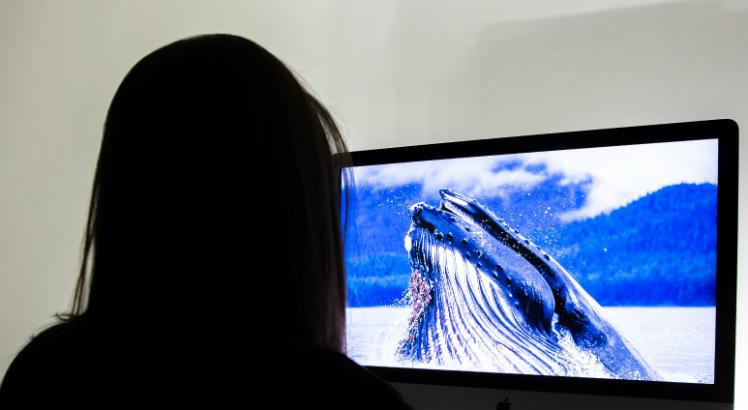 Para especialistas, é importante conversar sobre os problemas que podem ser induzidos pelo Baleia Azul (Foto: Tato Rocha/JC Imagem)