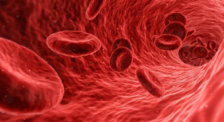 A hemoglobinúria paroxística noturna (HPN) é uma doença rara que destrói as hemácias dentro dos vasos sanguíneos (Foto ilustrativa: Pixabay)