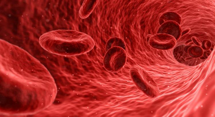 Projeto quer acompanhar, principalmente, pacientes com doenças hipercolesterêmicas, quando há aumento na concentração de colesterol no sangue (Foto: Pixabay)