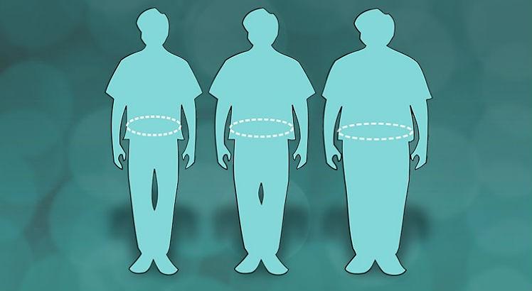 Grupo brasileiro mostrou que a dieta rica em gordura saturada danifica o sistema cerebral de controle da fome bem antes de alterar o perfil das bactérias do intestino (Imagem: Wikimedia Commons)