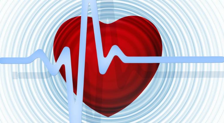 No Brasil, anualmente ocorrem mais de 300 mil casos de morte súbita por doenças cardiovasculares. Desse total, 250 mil provocados por arritmias cardíacas (Imagem ilustrativa: Pixabay)