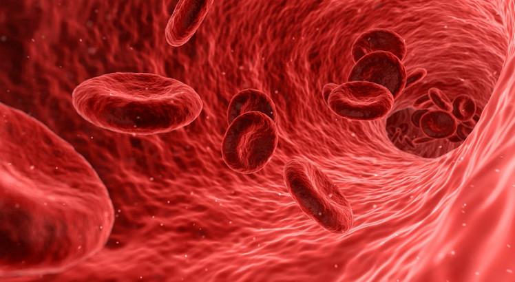 De origem adquirida ou hereditária, a hemofilia é uma doença hemorrágica caracterizada por desordens na coagulação sanguínea e hemorragias de gravidade variável, que podem ocorrer de forma espontânea ou pós-traumática (Foto ilustrativa: Pixabay)