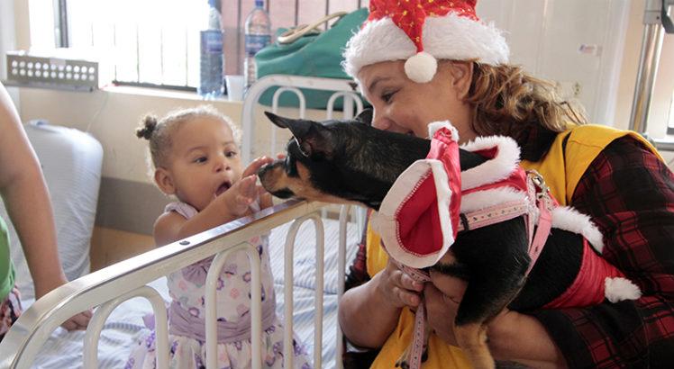 No Natal do Barão de Lucena, crianças internadas participam da cinoterapia, um método em que o cachorro atua como mediador do tratamento (Foto: Miva Filho/SES/Divulgação)