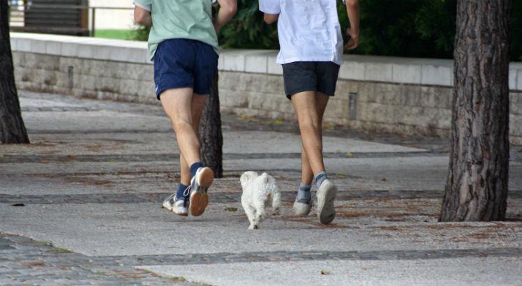 Cachorros poderão participar de corrida de rua neste domingo. Foto: Free Images