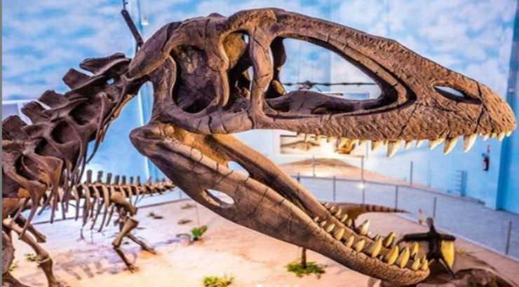 O tour virtual pelo Zoo Parque mostrou a exposição "Viagem pela Evolução e Biodiversidade do Mundo”, com réplicas de dinossauros e animais gigantes. 
