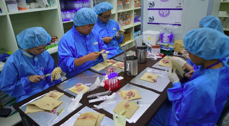 A clínica também colabora com uma empresa chinesa de biotecnologia, Boyalife, para criar a maior fábrica de clonagem do mundo na cidade portuária de Tianjin, no nordeste da China. Foto: AFP / JUNG YEON-JE