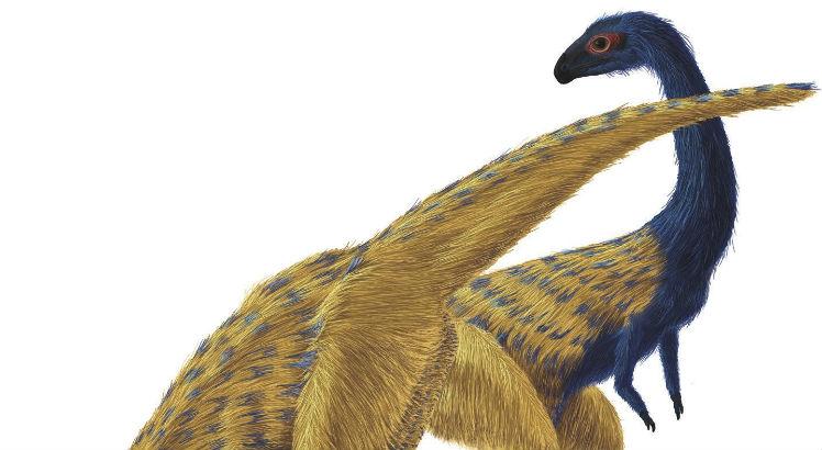O estudo se baseia em fósseis de um dinossauro pequeno e magro conhecido como Limusaurus inextricabilis. Foto: Reprodução