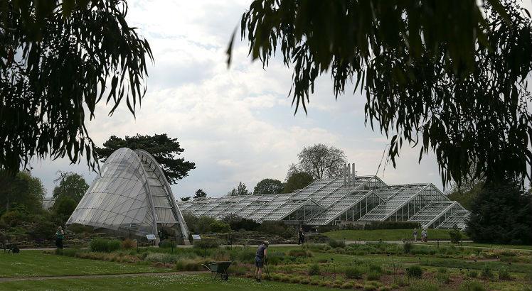Conservatório de Gales em Kew Gardens no sudoeste de Londres. Foto: DANIEL LEAL-OLIVAS / AFP