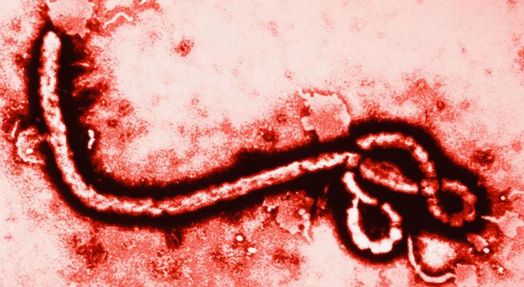 Vírus Ebola