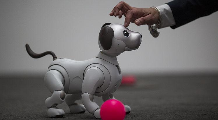 Aibo, o cão-robô da Sony (AFP PHOTO / DAVID MCNEW)
