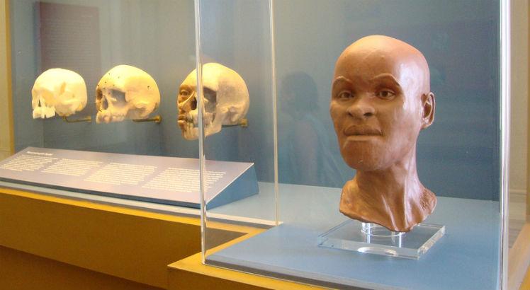 O crânio de Luzia e a reprodução de como seria seu rosto, em exposição no Museu Nacional, no Rio de Janeiro (Divulgação)