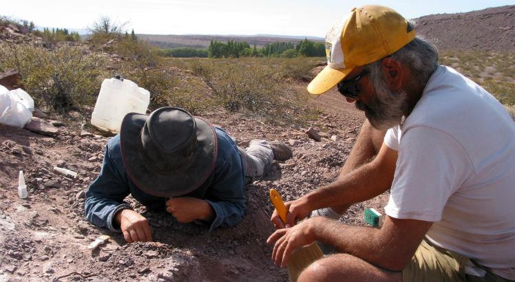 Pesquisadores trabalham na extração de fósseis de três espécimes de nova espécie de dinossauros de 110 milhões de anos, na província argentina de Neuquén (HO / Agencia CTyS / AFP)