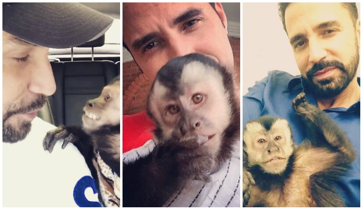 Latino e seu amado macaco Twelves (Imagens: Reprodução/ Instagram)