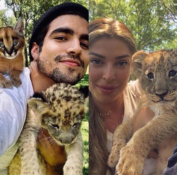 Caio Castro e Grazi Massafera ao lado de filhotes de tigre (Foto: Reprodução/Instagram)
