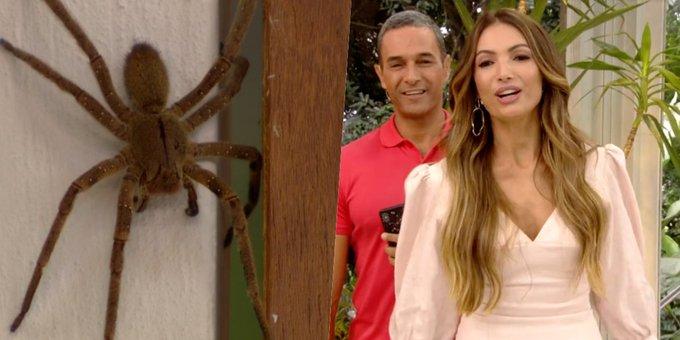 Aranha surge no cenário do 'Mais Você' (Foto: Reprodução/Internet/TV Globo)
