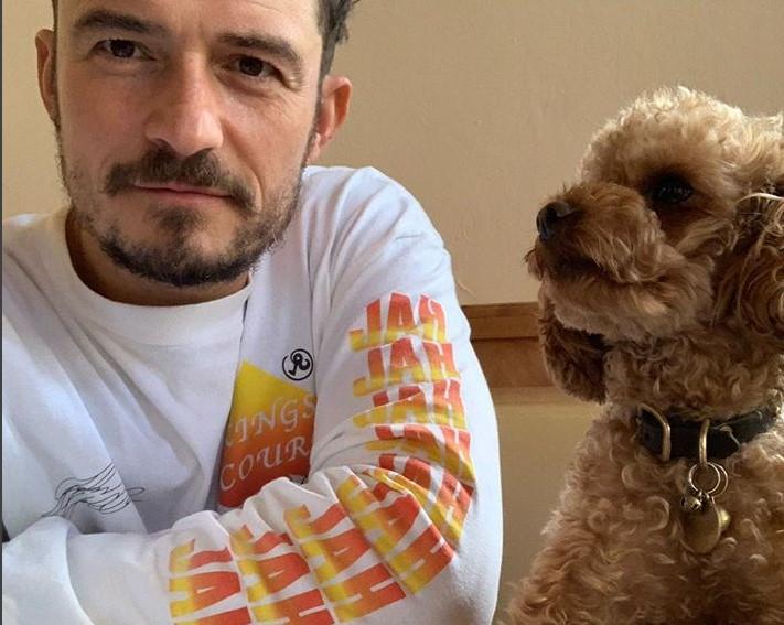 Orlando Bloom e o seu cachorrinho Mighty (Foto: Reprodução/Instagram)