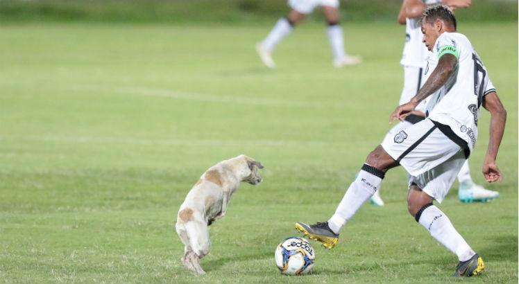 Cachorro marcou firme a bola e driblou os jogadores em campo no Arruda. Foto: Alexandre Gondim / JC Imagem