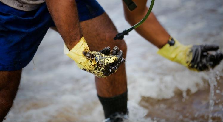 489 toneladas de óleo recolhidas das praias foram recolhidas até agora. Foto: Felipe Ribeiro/JC Imagem